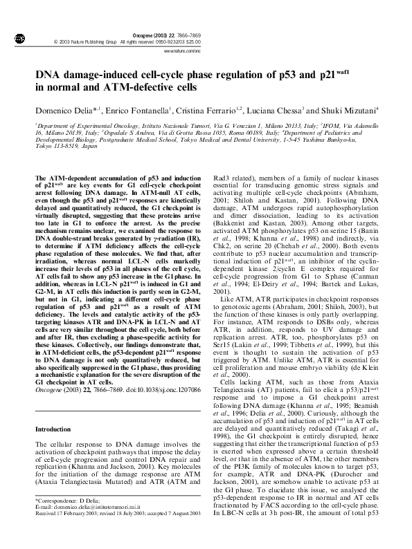(PDF) DNA damage-induced cell-cycle phase regulation of p53 and p21waf1 ...