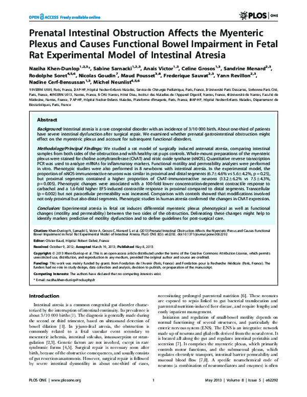 (PDF) Prenatal Intestinal Obstruction Affects the Myenteric Plexus and ...