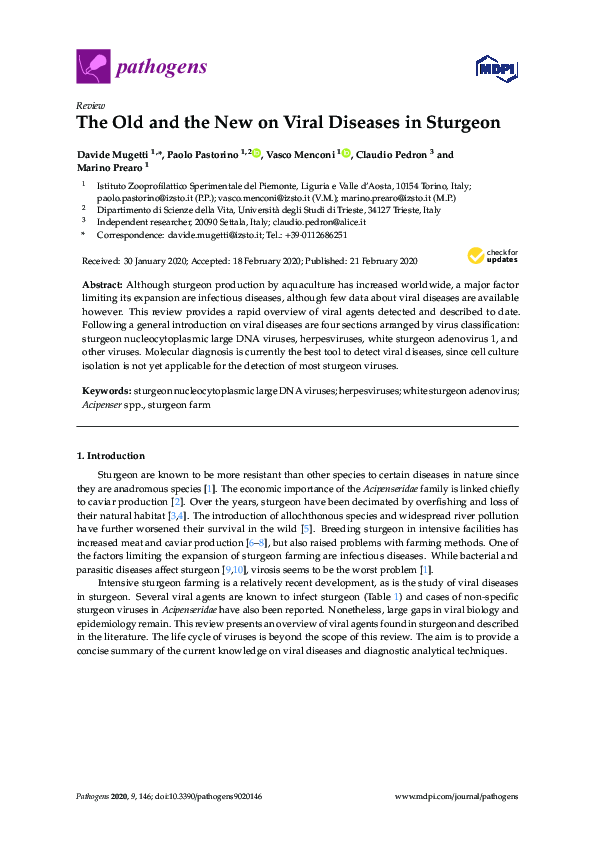 Common viruses picture