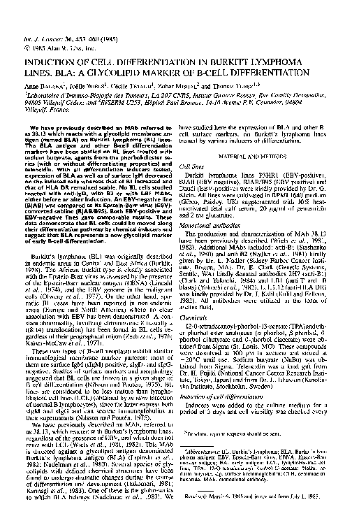 (PDF) Induction of cell differentiation in burkitt lymphoma lines. BLA ...