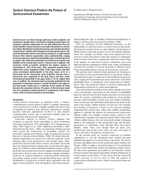 (PDF) Cortical structure predicts the pattern of corticocortical ...