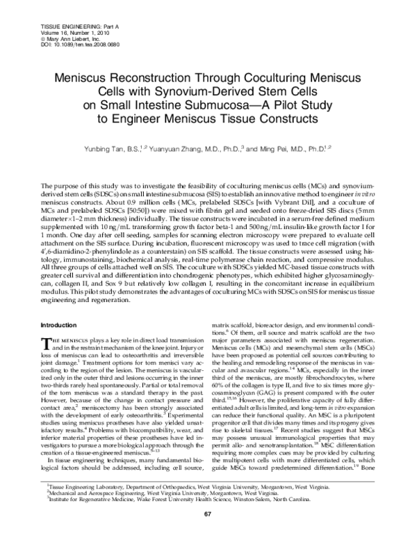 (PDF) Meniscus Reconstruction Through Coculturing Meniscus Cells with ...