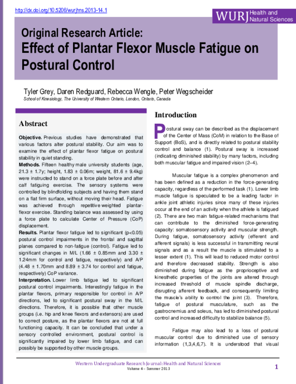 (PDF) The effect of plantar flexor muscle fatigue on postural control