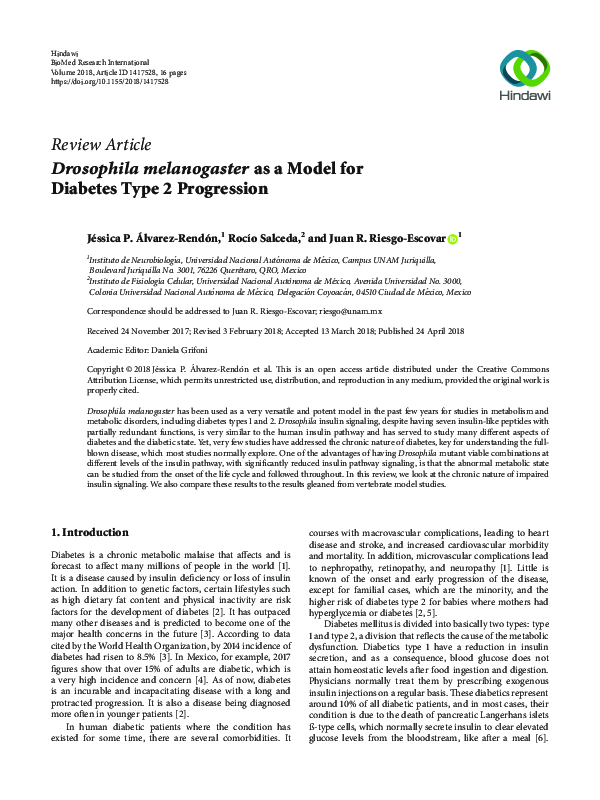 (PDF) Drosophila melanogaster as a Model for Diabetes Type 2 Progression