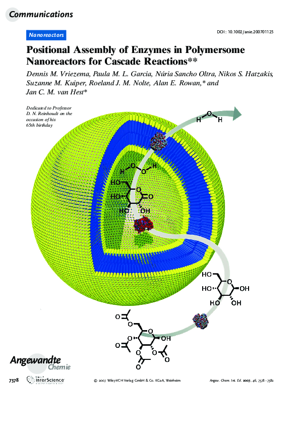 (PDF) Positional assembly of enzymes in polymersome nanoreactors for ...