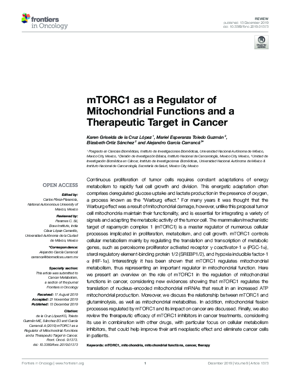(PDF) mTORC1 as a Regulator of Mitochondrial Functions and a ...