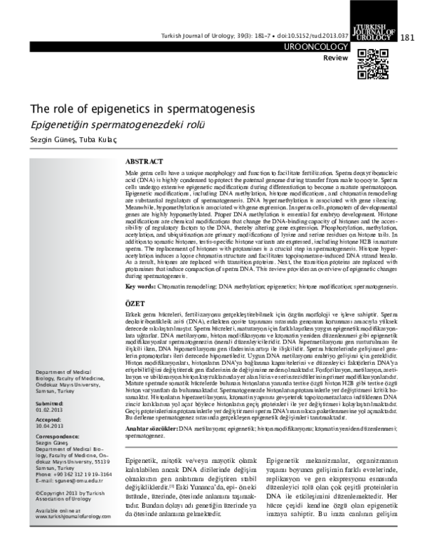 (PDF) The role of epigenetics in spermatogenesis