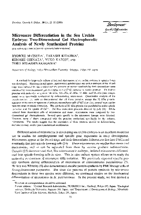 (PDF) Micromere Differentiation in the Sea Urchin Embryo: Expression of ...