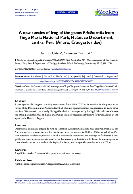 (PDF) A new species of frog of the genus Pristimantis from Tingo María ...