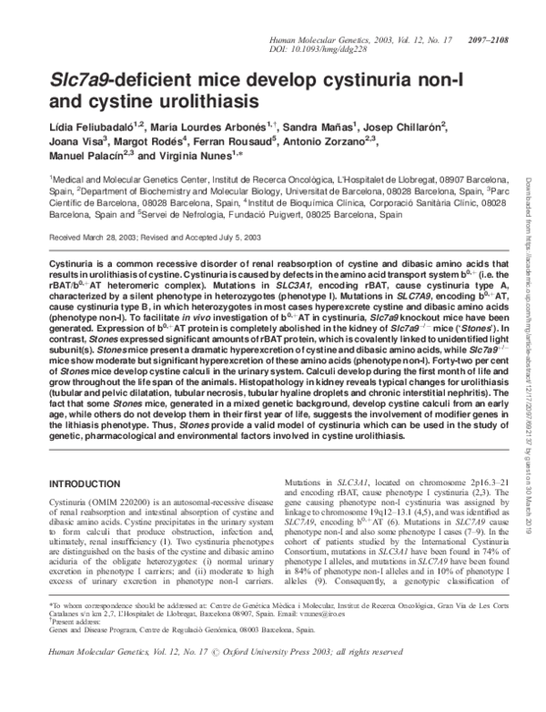(PDF) Slc7a9-deficient mice develop cystinuria non-I and cystine ...
