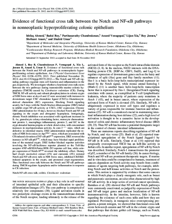 (PDF) Evidence of functional cross talk between the Notch and NF- B ...