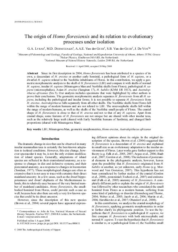 Homo floresiensis size image