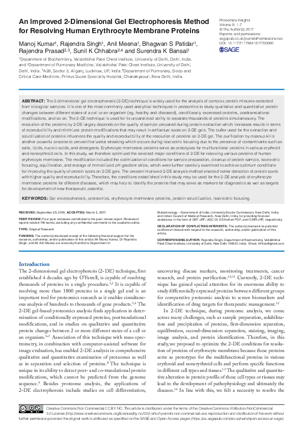 (PDF) Enhanced 2D Gel Electrophoresis for Human Erythrocyte Proteins