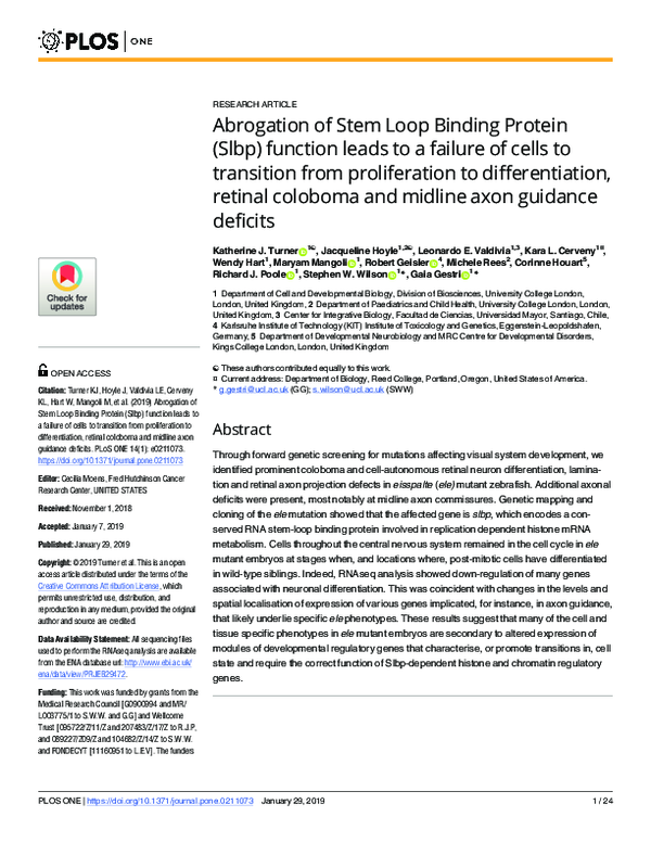 (PDF) Abrogation of Stem Loop Binding Protein (Slbp) function leads to ...