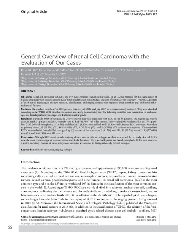 (PDF) General Overview of Renal Cell Carcinoma with the Evaluation of ...