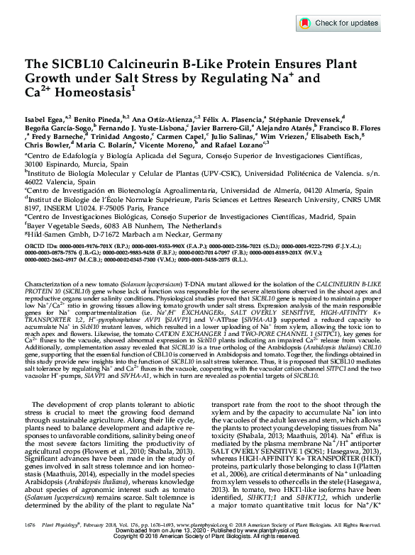 (PDF) The SlCBL10 Calcineurin B-Like Protein Ensures Plant Growth under ...