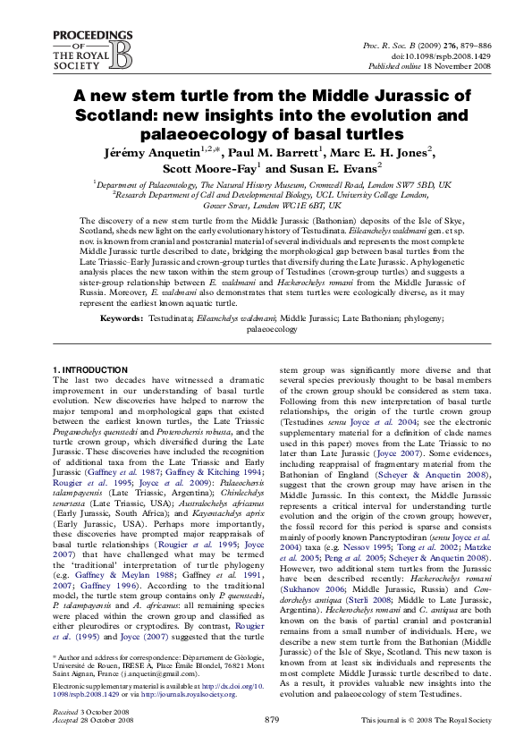 (PDF) A new stem turtle from the Middle Jurassic of Scotland: new ...