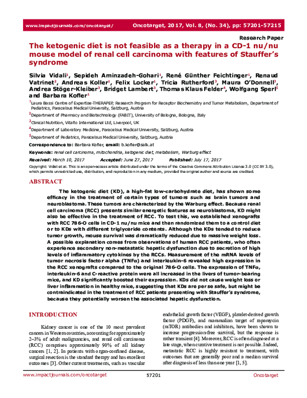 How long is a term paper image