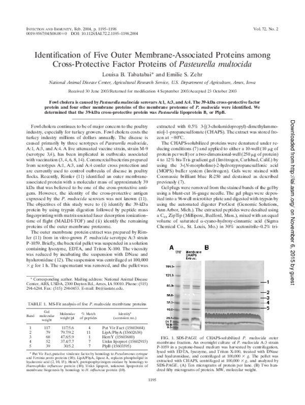 (PDF) Identification of Five Outer Membrane-Associated Proteins among ...