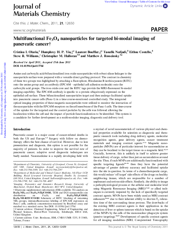 (PDF) Multifunctional Fe3O4 nanoparticles for targeted bi-modal imaging ...
