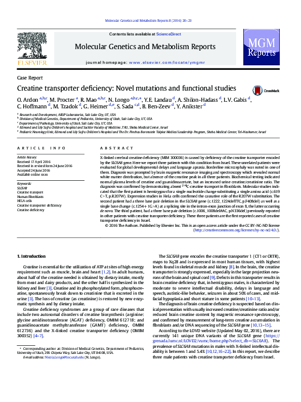 (PDF) Creatine transporter deficiency: Novel mutations and functional ...