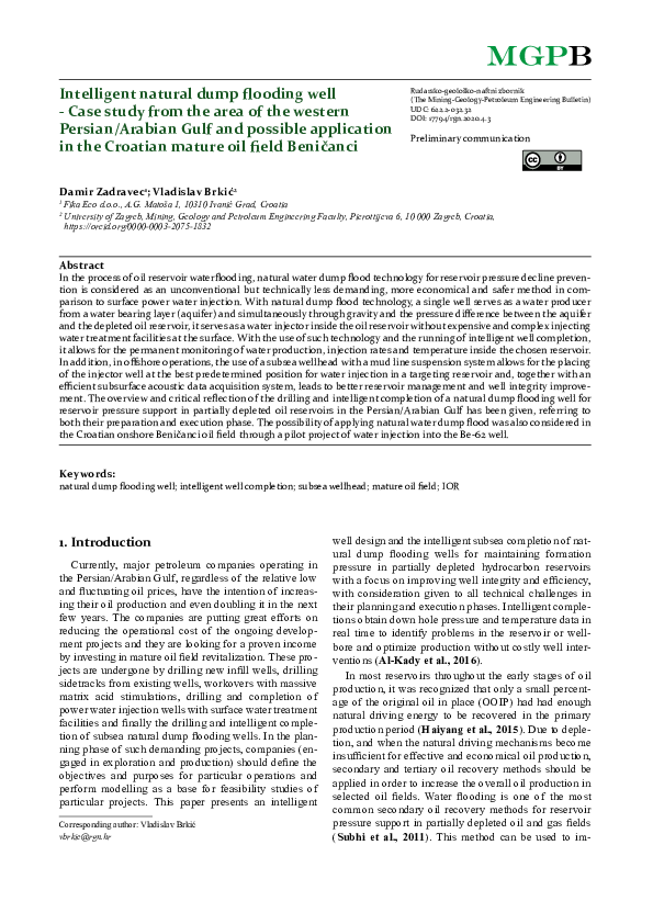 (PDF) Intelligent Natural Dump Flooding Well - Case Study from the Area ...