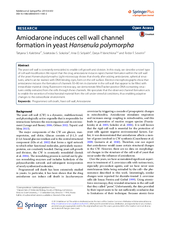 (PDF) Amiodarone induces cell wall channel formation in yeast Hansenula ...