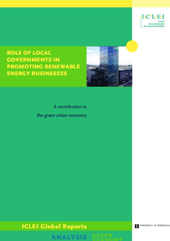 (PDF) Role of local governments in promoting renewable energy ...