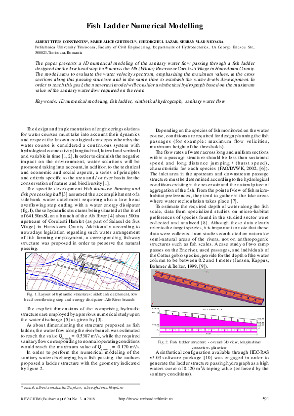 (PDF) Fish Ladder Numerical Modelling