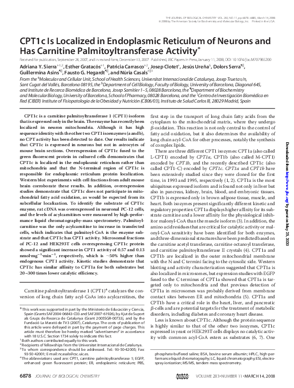 (PDF) CPT1c Is Localized in Endoplasmic Reticulum of Neurons and Has ...