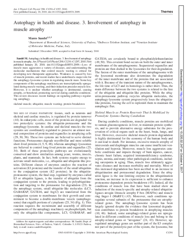 (PDF) Autophagy in health and disease. 3. Involvement of autophagy in ...