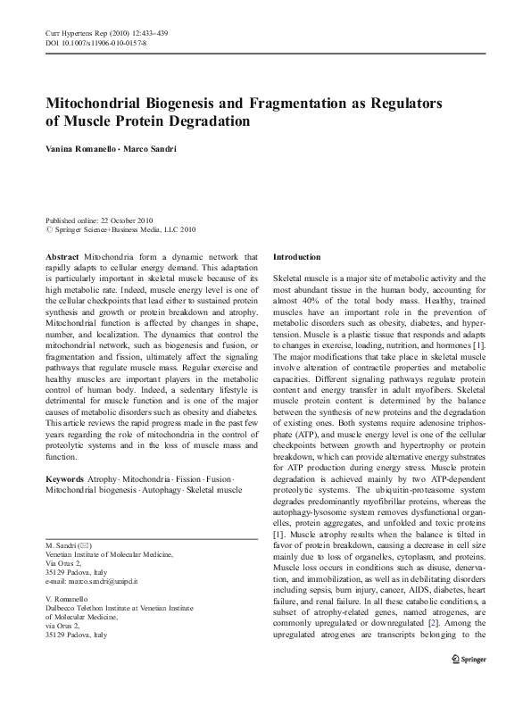 (PDF) Mitochondrial Biogenesis and Fragmentation as Regulators of ...