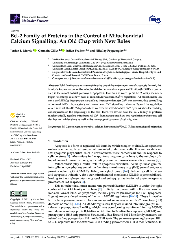 (PDF) Bcl-2 Family of Proteins in the Control of Mitochondrial Calcium ...