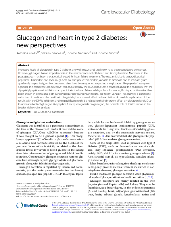 (PDF) Glucagon and heart in type 2 diabetes: new perspectives