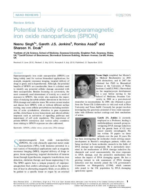 (PDF) Potential toxicity of superparamagnetic iron oxide nanoparticles ...