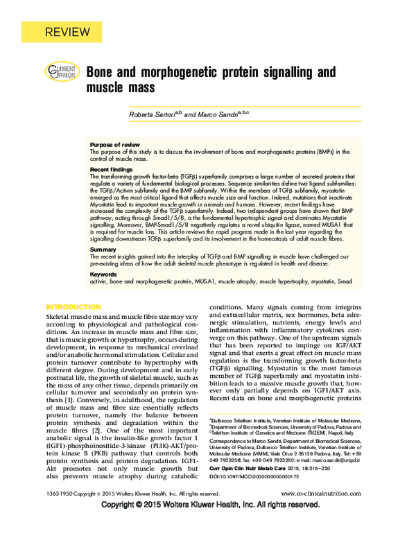 (PDF) Bone and morphogenetic protein signalling and muscle mass