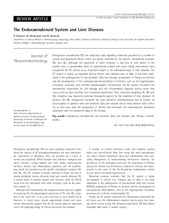 Fjd essays 05 picture