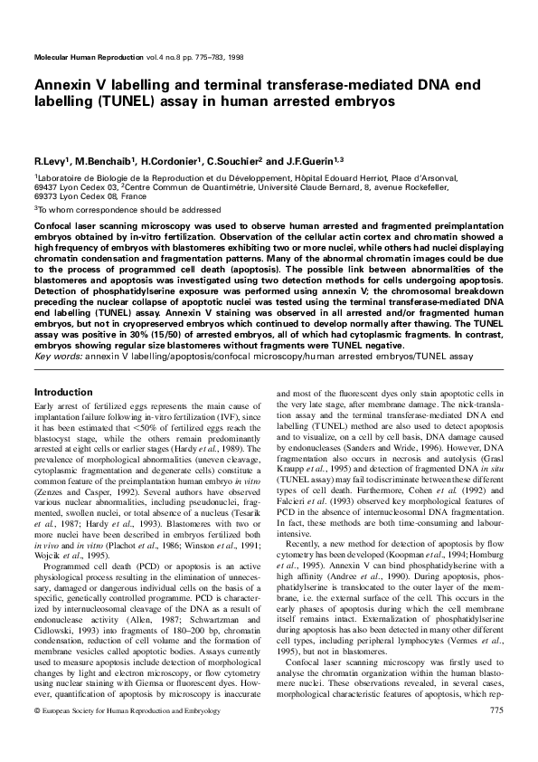 (PDF) Annexin V labelling and terminal transferase-mediated DNA end ...