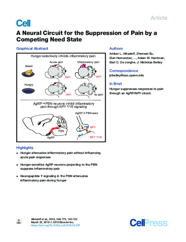 (PDF) A Neural Circuit for the Suppression of Pain by a Competing Need ...