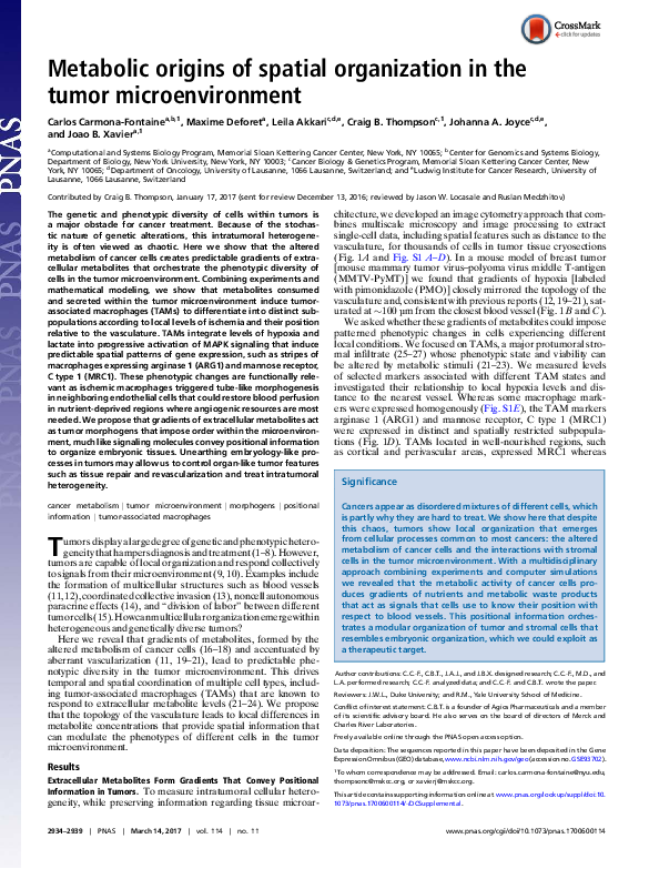 (PDF) Metabolic Gradients in Tumor Microenvironment