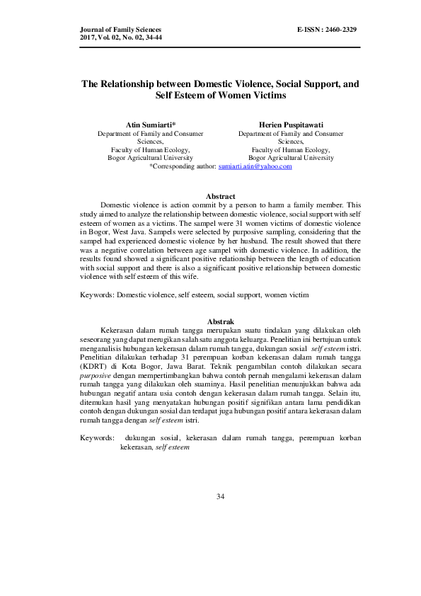 (PDF) The Relationship between Domestic Violence, Social Support, and ...