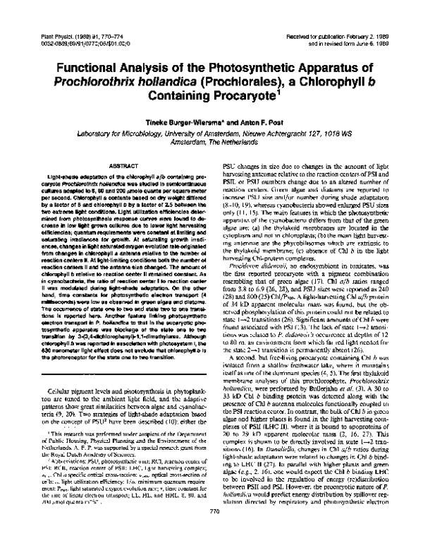 (PDF) Functional Analysis of the Photosynthetic Apparatus of ...