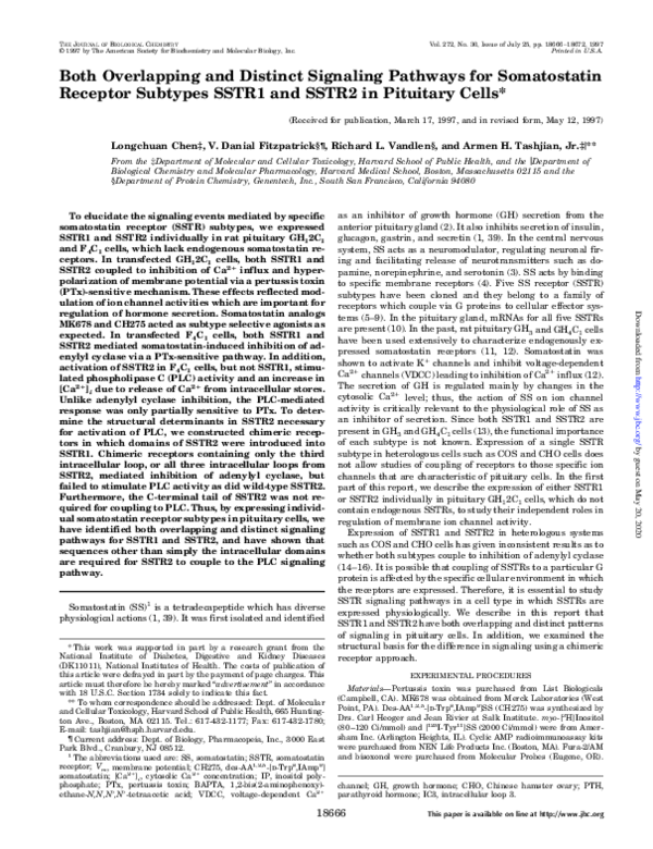 (PDF) Both Overlapping and Distinct Signaling Pathways for Somatostatin ...
