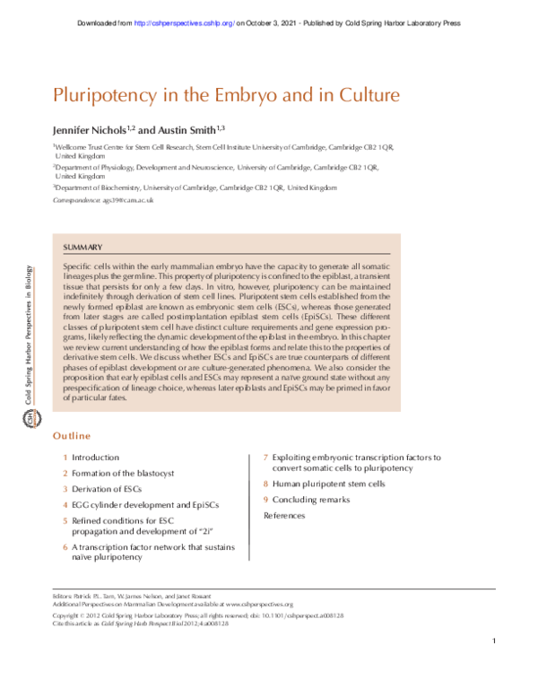 Dr jennifer nichols chattanooga image