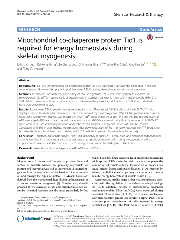 Chaperone research paper picture