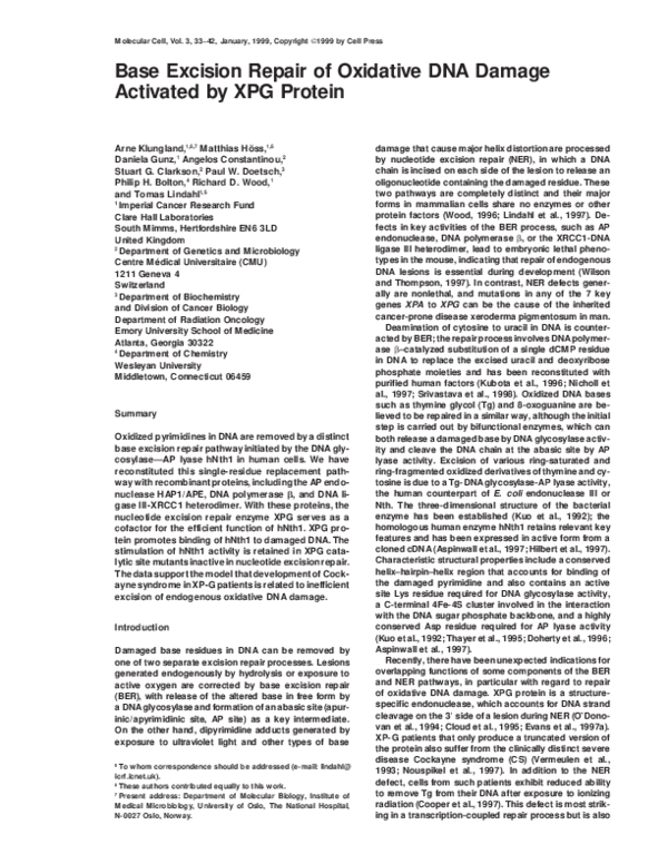 (PDF) Base Excision Repair of Oxidative DNA Damage Activated by XPG Protein