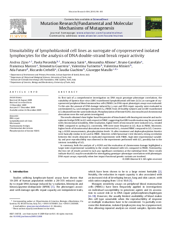 (PDF) Unsuitability of lymphoblastoid cell lines as surrogate of ...