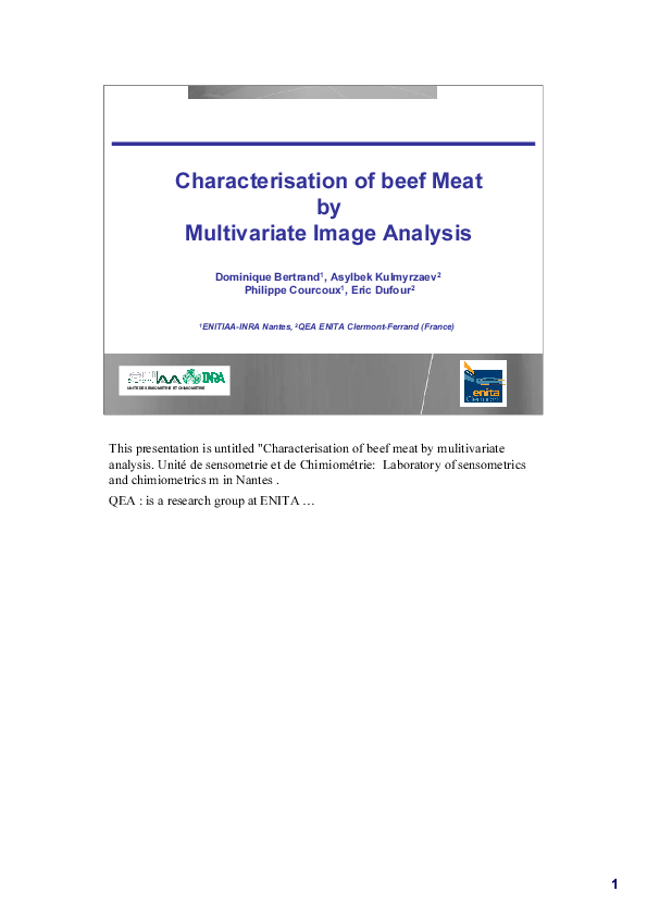 (PDF) Characterisation of beef Meat by Multivariate Image Analysis