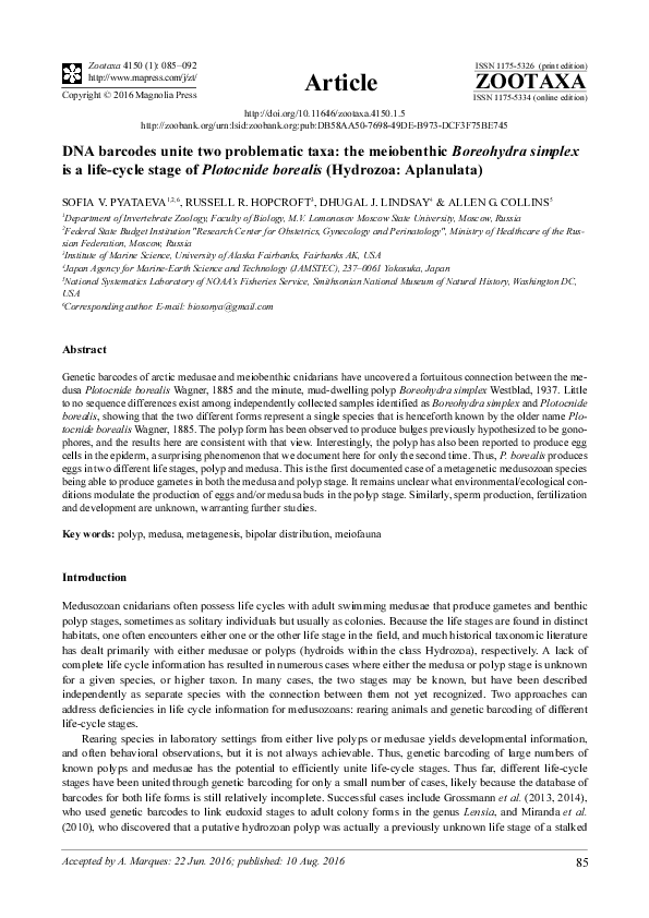 (PDF) DNA barcodes unite two problematic taxa: the meiobenthic ...
