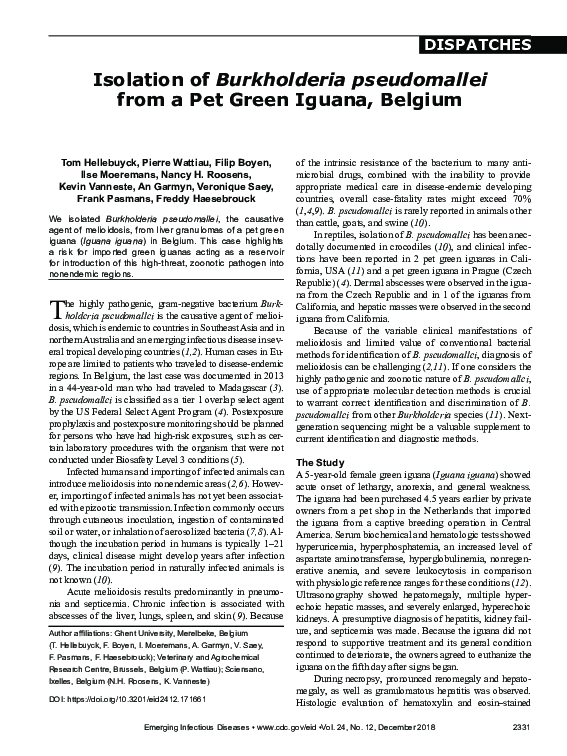 (PDF) Isolation of Burkholderia pseudomallei from a Pet Green Iguana ...
